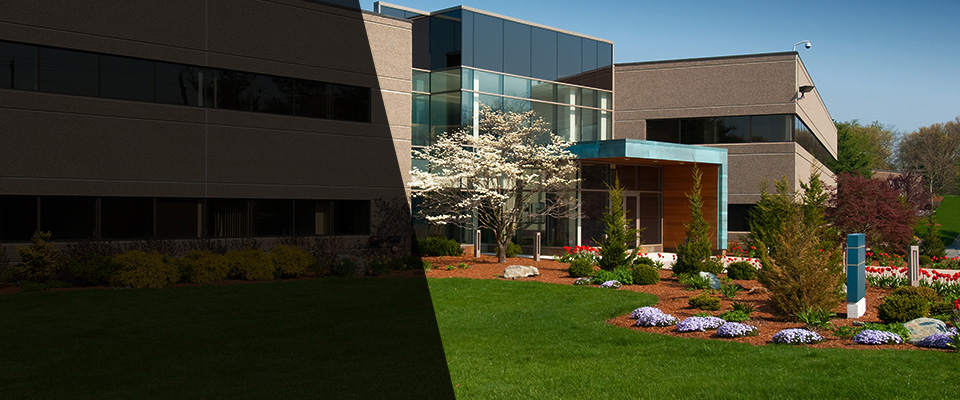 Paterson Landscapers