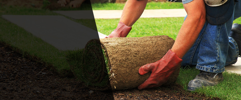 Paterson Landscapers